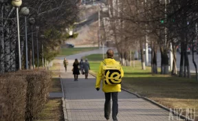 Столичных курьеров обязали каждый день проходить фотоконтроль