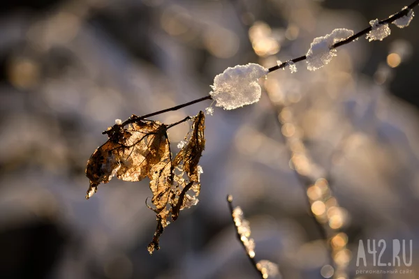 Вильфанд: в начале декабря сохранится тёплая погода