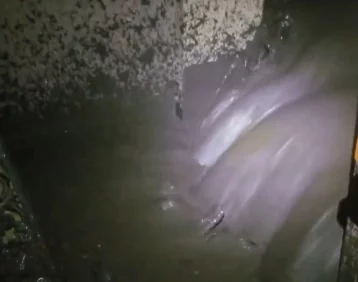 Фото: Американец снял на видео момент затопления собственного дома селевым потоком 1