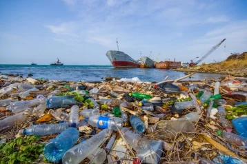 Фото: Страны G20 договорились сокращать объёмы пластикового мусора 1