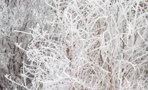 Режим ЧС введён в Бодайбо Иркутской области из-за перемерзания водовода