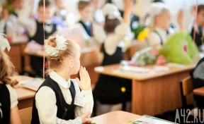 В российские школы хотят вернуть общественно-полезный труд 