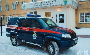 Появились подробности изнасилования восьмилетней девочки в Кемерове