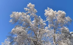 Морозы до -40 ожидаются на выходных в Кузбассе