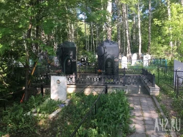 Фото: В РПЦ призвали не оставлять еду на могилах 1
