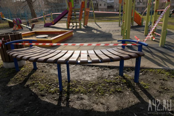 Бастрыкин потребовал доклад о травме 6-летнего мальчика кузбасском парке