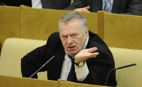 Жириновский высказался о вреде «недетских» сказок