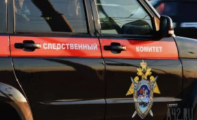 В Кемерове СК начал проверку после драки взрослой женщины и подростка на детской площадке
