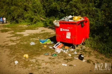 Фото: Кемеровчанин пожаловался мэру на горы мусора рядом с ТЦ 1