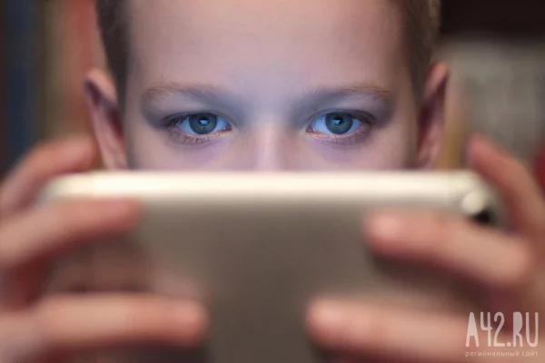 Роскомнадзор ответил на просьбы о разблокировке Roblox 