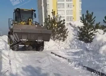 Фото: Не вывозят снег и ломают деревья: жители Лесной Поляны пожаловались на обслуживающую организацию 1