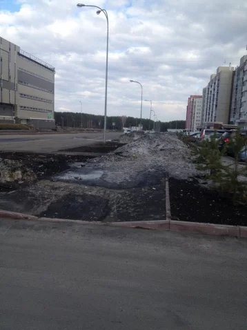 Фото: Кемеровчан возмутило бездействие коммунальщиков в уборке одной из улиц на Радуге 1