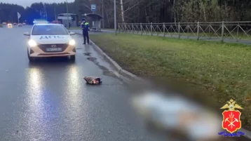 Фото: МВД: водителю автобуса грозит 5 лет лишения свободы после смертельного ДТП в Кемерове 1