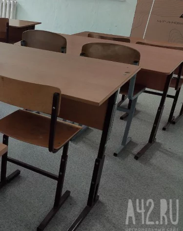 В Кузбассе почти 400 детей перевели на дистант из-за ОРВИ
