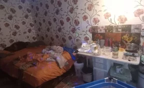 Искусан клопами: у матери отобрали 11-месячного сына в Красноярском крае