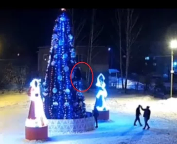 Фото: В Кузбассе хулиганы залезли на главную городскую ёлку и сняли это на видео 2