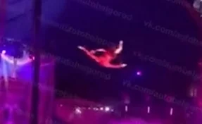 В Белгороде гимнастка во время представления упала с высоты 