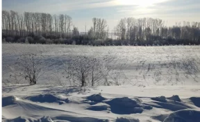 В Кузбассе Россельхознадзор обязал владельцев вернуть в оборот брошенные земли