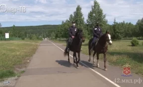 В Кемерове с начала сезона конная полиция пресекла 40 правонарушений