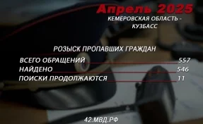 В Кузбассе за месяц нашли 546 пропавших, поиски 11 человек продолжаются