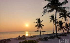 Семь жителей Камбоджи погибли, 20 пострадали в ходе боестолкновений на границе