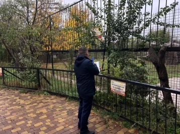 Фото: В сафари-парке «Тайган» не будут усыплять растерзавших сотрудницу львов 1