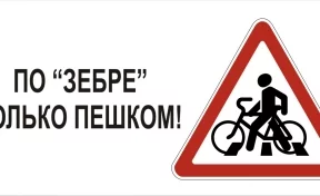 В Кемерове для велосипедистов установят специальные знаки
