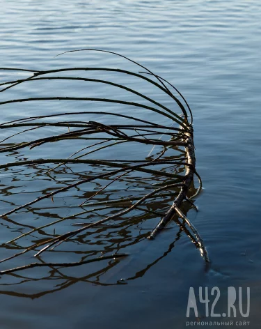 В Кузбассе прокуратура заставила крупную компанию улучшить качество воды