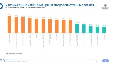 Инфографика: Кемеровостат