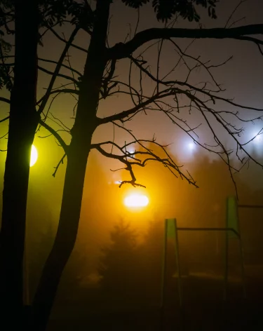 Фото: A42.RU
