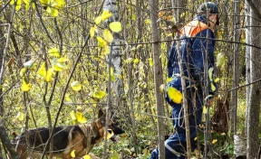 В Красноярском крае к поискам пропавшей во время турпохода семьи привлекли вертолёт