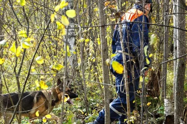 В Красноярском крае к поискам пропавшей во время турпохода семьи привлекли вертолёт