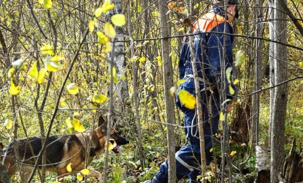 В Красноярском крае к поискам пропавшей во время турпохода семьи привлекли вертолёт