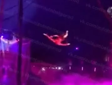 Фото: В Белгороде гимнастка во время представления упала с высоты  1