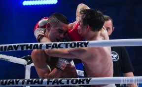 «Фабрика муайтай»: как в Кемерове прошёл чемпионат по тайскому боксу