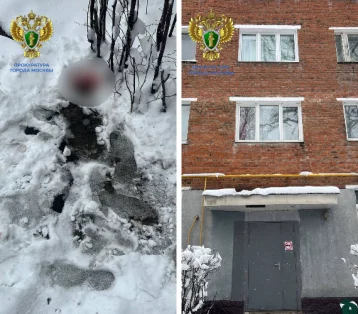 Фото: 5-летний мальчик остался без присмотра матери и выпал из окна в Москве 1