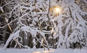 Гололёд, метели и похолодание до -27: синоптики дали прогноз на неделю в Кузбассе