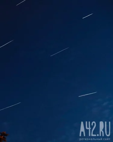 Фото: A42.RU
