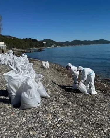 Фото: <a href=https://max.ru/opershtab23/AZ3KL0vMKhY>Оперштаб Краснодарского края</a> / Мах