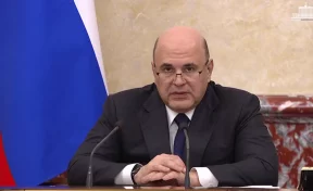 Мишустин поручил увеличить пособия беременным студенткам до 90 000 рублей