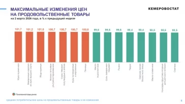 Инфографика: Кемеровостат