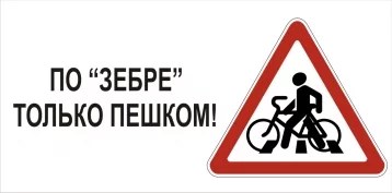 Фото: В Кемерове для велосипедистов установят специальные знаки 1