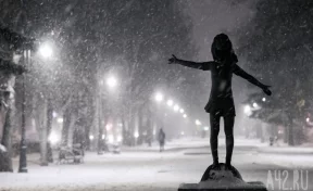 Синоптики предупредили кузбассовцев о мокром снеге