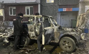 В Красноярске прохожие спасли двух маленьких детей из горящего автомобиля