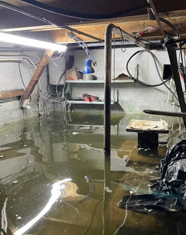 Чей-то косяк. Беловчанка завела в затопленном подвале стаю карпов