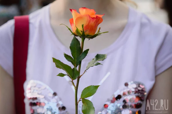 В Мали публично казнили девушку-блогера из-за публикаций в TikTok