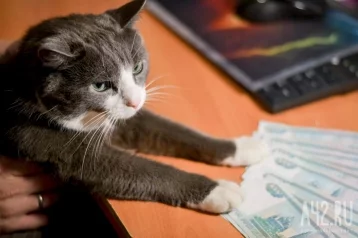 Фото: В Кемерове здание дома престарелых продают за 140 млн рублей 1