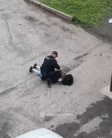 Фото: Соцсети: в Кемерове 16-летняя девушка накинулась на ровесницу на детской площадке 1