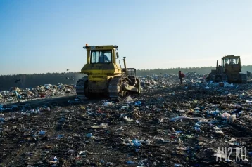 Фото: Уборщица выбросила старый матрас с деньгами и драгоценностями на 50 000 евро 1