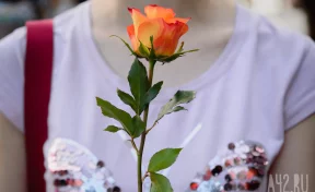 В Мали публично казнили девушку-блогера из-за публикаций в TikTok